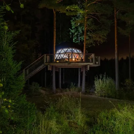 Treehouse Dome Vidnes